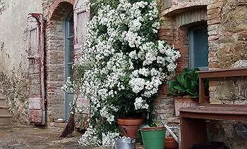 Landhuis Follonico 4-Suite B&B