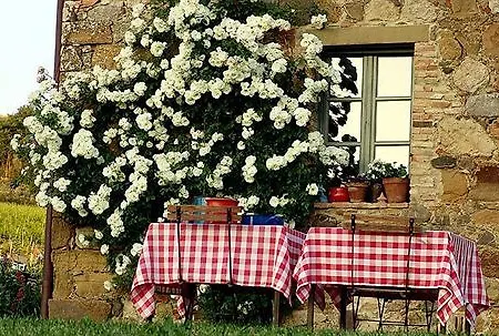 Follonico 4-Suite B&B Country house *