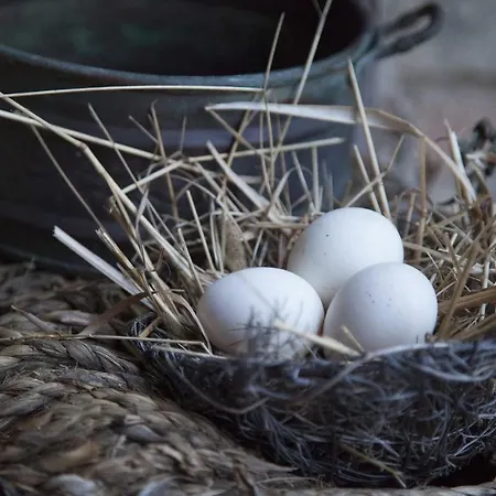 Country house Follonico 4-Suite B&B *