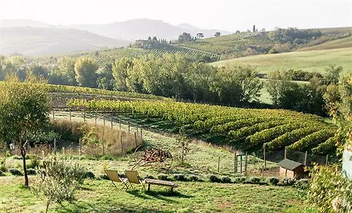Follonico 4-Suite B&B Torrita di Siena
