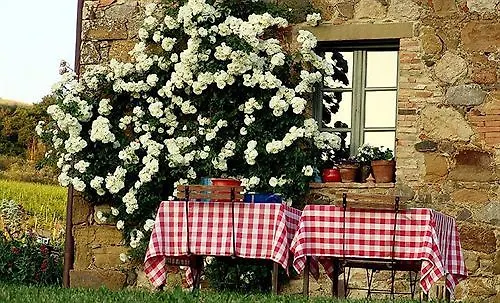 Follonico 4-Suite B&B Séjour à la campagne *