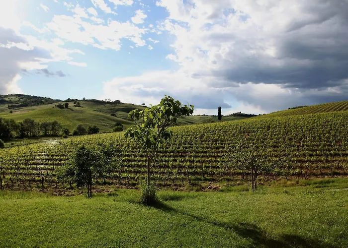Séjour à la campagne Follonico 4-Suite B&B Torrita di Siena